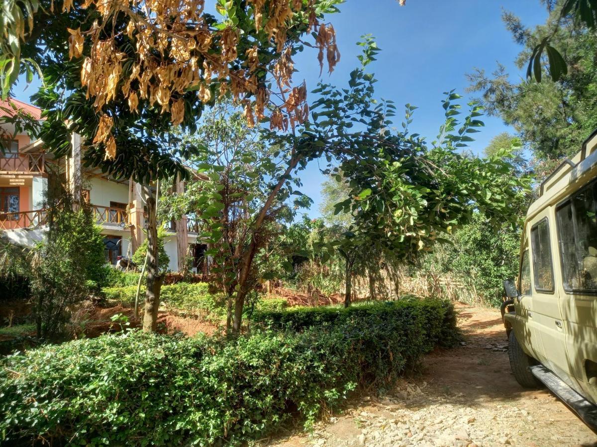 Emmy'S Backpackers Hostel Іринга Екстер'єр фото